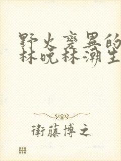 野火变异的父爱林晚林潮生