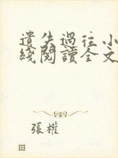 遗失过往小说在线阅读全文无弹窗