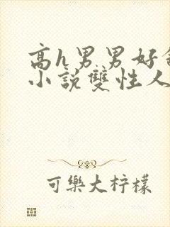 高h男男好舒服小说双性人封面