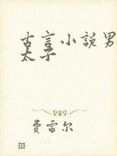 古言小说男主是太子封面