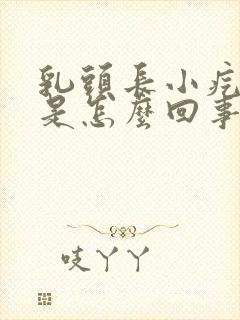 乳头长小疙瘩疼是怎么回事