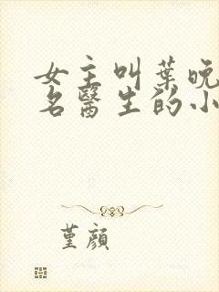 女主叫叶晚,是名医生的小说