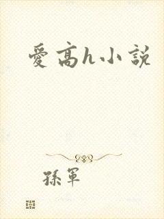 爱高h小说