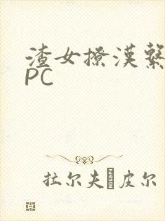 渣女撩汉系统NPC封面