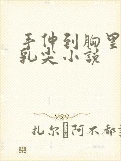 手伸到胸里揉她乳尖小说