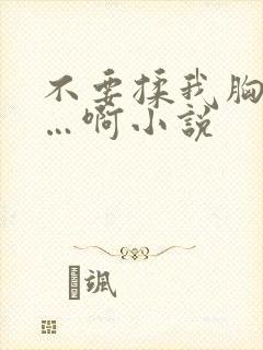 不要揉我胸嗯……啊小说