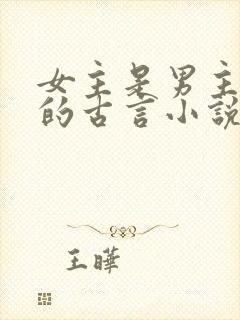 女主是男主外室的古言小说封面