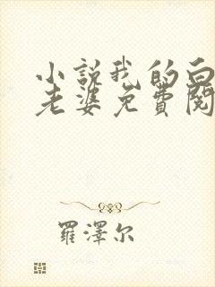 小说我的白富美老婆免费阅读