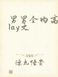 男男全肉高hplay文