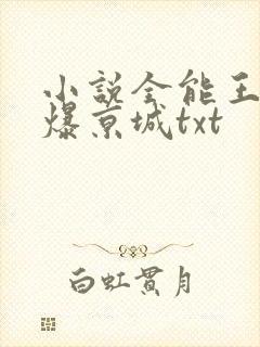 小说全能王妃火爆京城txt封面