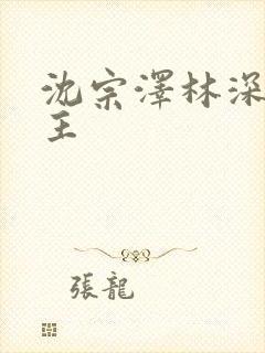 沈宗泽林深双男主