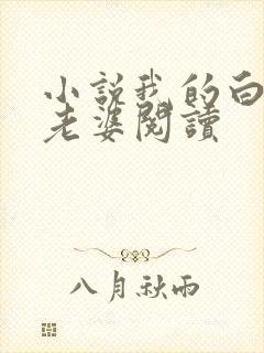 小说我的白富美老婆阅读