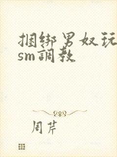 捆绑男奴玩各种sm调教封面