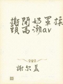 撕开奶罩揉吮奶头高潮av