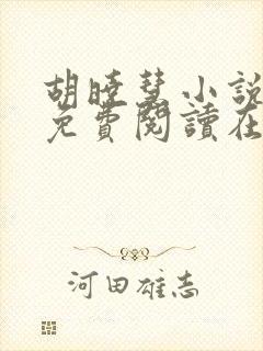 胡晓慧小说全文免费阅读在线