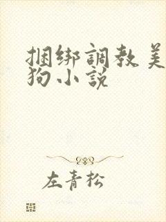 捆绑调教美女母狗小说封面