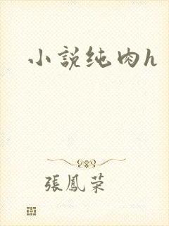 小说纯肉h