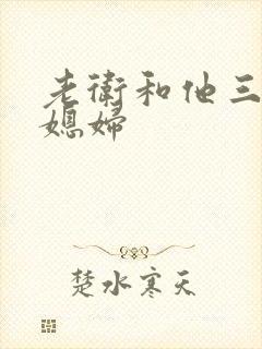 老卫和他三个儿媳妇