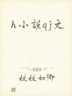 h小说qj文