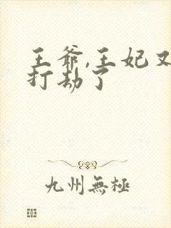 王爷,王妃又去打劫了封面