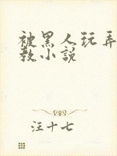 被黑人玩弄h调教小说