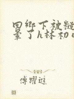 回乡下被糙汉肉晕了h林初晴