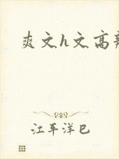 爽文h文高辣h