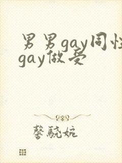 男男gay同性gay做受