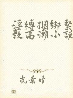 淫缚捆绑紧缚调教高潮小说