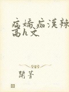 病娇痴汉辣文肉高h文