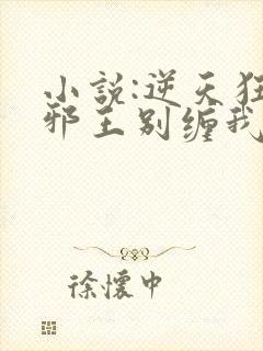 小说:逆天狂妃邪王别缠我