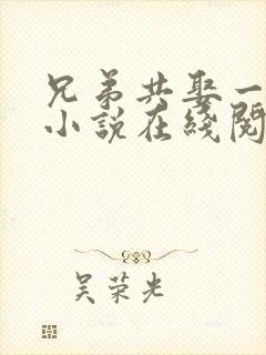 兄弟共娶一妻的小说在线阅读