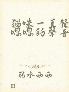 猫咪一直发出嗯嗯嗯的声音是怎么回事