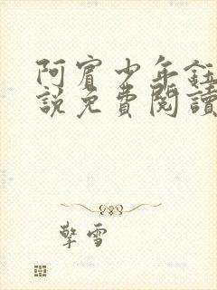 阿宾少年钰慧小说免费阅读笔趣阁