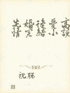 先婚后爱高干言情完结小说