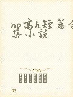 np高h短篇合集小说