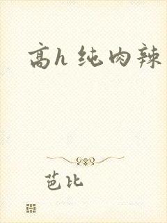 高h 纯肉辣文封面