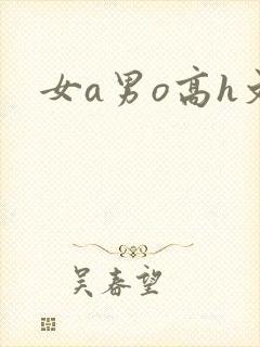 女a男o高h文封面