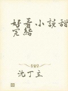 好看小说甜宠文完结