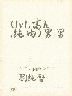 (1v1,高h,纯肉)男男