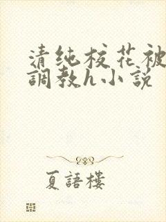 清纯校花被地狱调教h小说封面