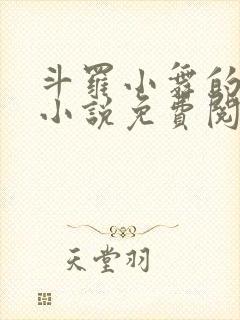 斗罗小舞的堕落小说免费阅读封面