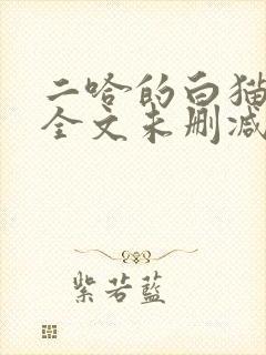 二哈的白猫师尊全文未删减