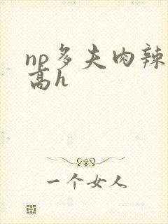 np多夫肉辣文高h