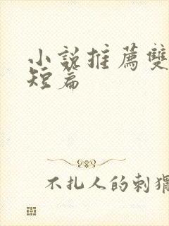 小说推荐双男主短篇