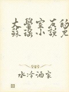 大学室友的女友苏瑶小说免费阅读