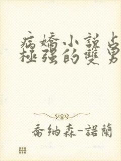 病娇小说占有欲极强的双男主