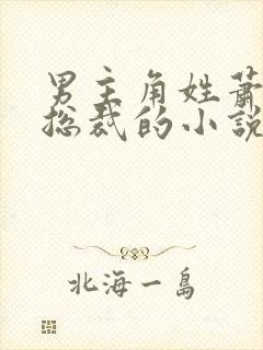 男主角姓萧是个总裁的小说封面