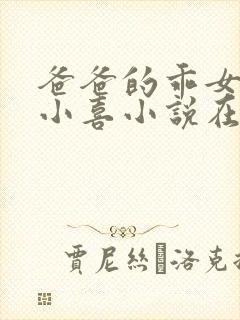 爸爸的乖女儿林小喜小说在线阅读