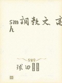 sm调教文 高h